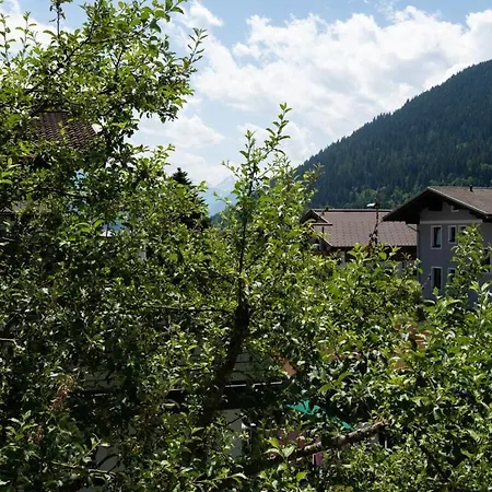 Baer Comfortable * 埃本因蓬高